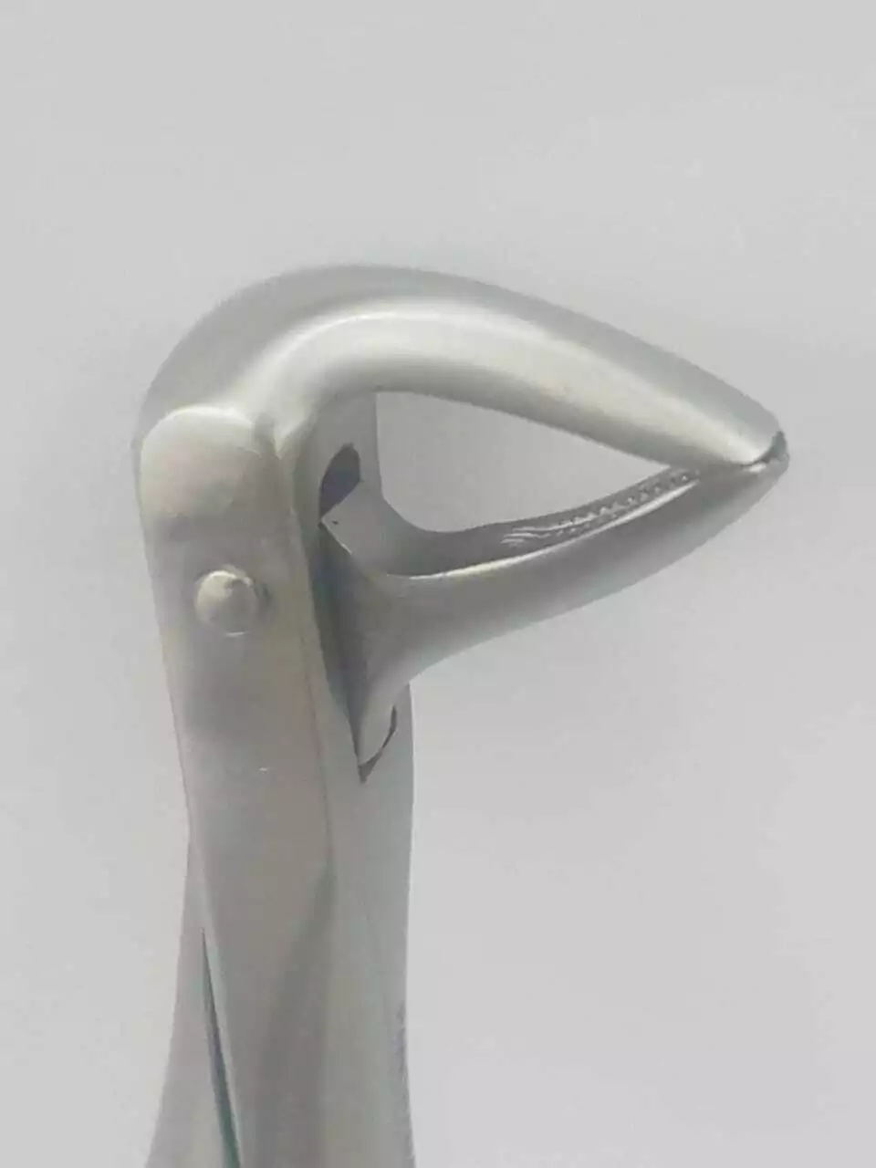 FORCEPS Nº74 RAIZ INFERIOR PANORAMA