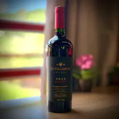 Castellamare Malbec 2022