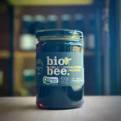 Mel de Bracatinga Orgânico Fruta Fina 450g