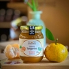 Geleia de Tangerina sem açúcar Novo Citrus 275 g