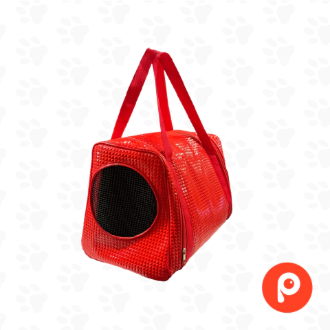 Bolso Transportador Semirigido Premium Charol+ Hebilla (45x30x25)