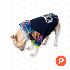 Buzo Nike Colores en internet