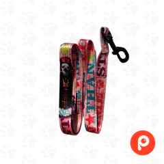 Correa para Perro Pink (Dixon)