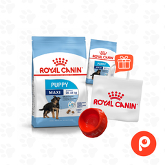 Royal Canin Maxi Puppy 15kg + Kit de bienvenida (Comedero + 1kg de regalo)
