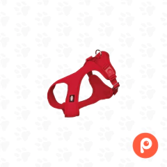 Arnes Trixie Suave en internet