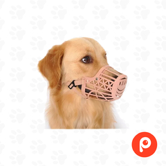Bozal Canasta para perro - comprar online