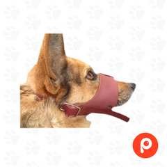 Bozal de cuero para perro - comprar online