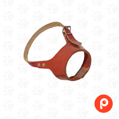 Bozal de cuero para perro