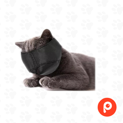 Bozal gato nylon con abrojo. de 2,5 a 5 kgs - comprar online