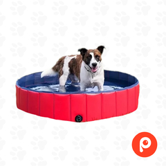 Pileta Plegable para Perros Grande