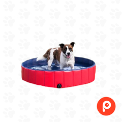 Pileta Plegable para Perros Mediana