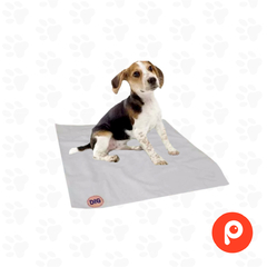 Paño Alfombra impermeable reutilizable (60X60) en internet