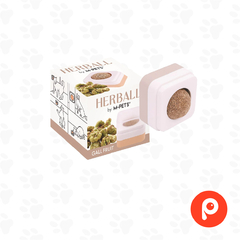 Herbal Gall Fruit Ball (Catnip Ball) - comprar online