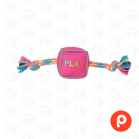 Zeus Mojo Brights Ballistic Cubee Toys - Rosa - 24 cm