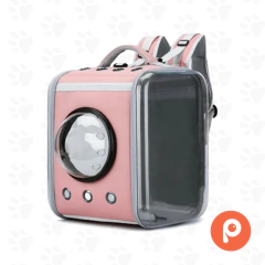 Bolso cuadrado transparente frente burbuja en internet