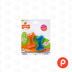 Nylabone Mini Gumbone Twin Pack Moderate Flexi