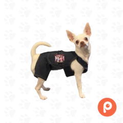 Jardinero enterito Jean en internet