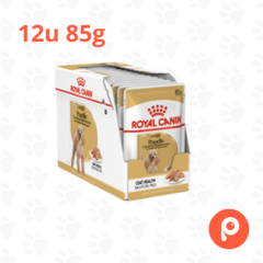 Royal Canin Poodle Pouch en internet