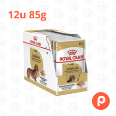 Royal Canin Dachshund Pouch en internet