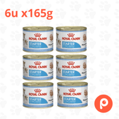 Royal Canin Starter Mother & Baby Dog Humedo en internet