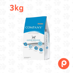 Company Gato adulto en internet