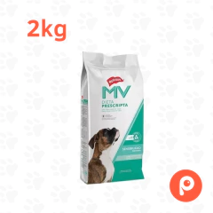 MV Holliday Sensibilidad Perro en internet