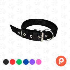 Collar Nylon Liso - Paws Pet Market
