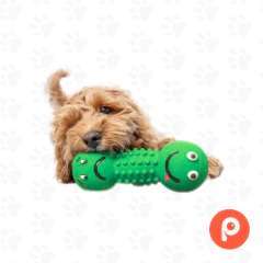 Pesa Smiley Látex con Sonido (Trixie) en internet