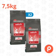 Club Performance Adult Cat - tienda online