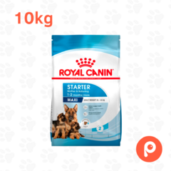 Royal Canin Starter Maxi en internet