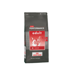 Club Performance Adult Cat - comprar online