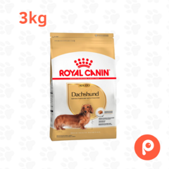 Royal Canin Dachshund Adulto en internet
