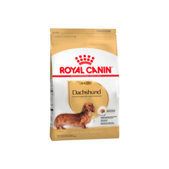 Royal Canin Dachshund Adulto - comprar online