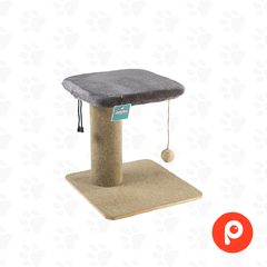 Cat Pro 1 (Base 35x35 /altura 35cm/ cama 30x30) Funda lavable (2003)