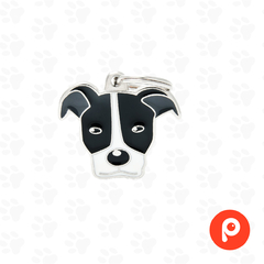 Chapita Identificatoria My Family Black and White American Pit Bull Terrier - comprar online