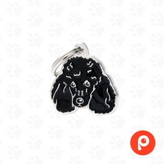 Chapita Identificatoria My Family Black Poodle