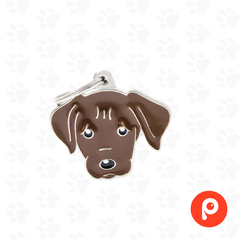 Chapita Identificatoria My Family Cream Labrador Chocolate