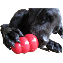 Kong Classic - Paws Pet Market