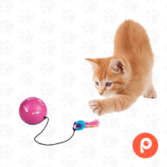 Pelota con Motor y raton "Turbinio" (Trixie) - comprar online