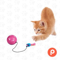 Pelota con Motor y raton "Turbinio" (Trixie) - comprar online