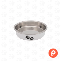 Comedero de acero inoxidable recubierto en plástico para Gato, chato (Trixie) en internet