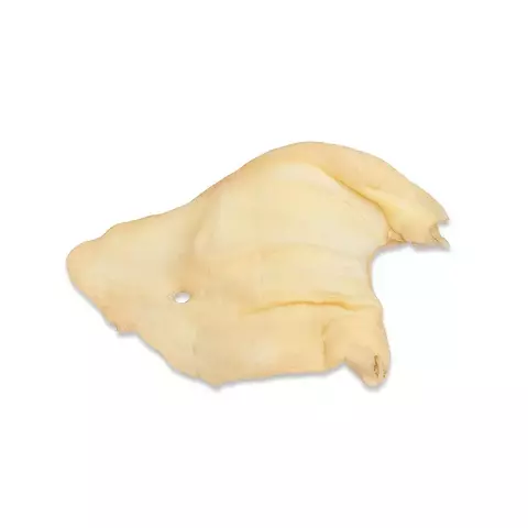 Orejas de Vaca Pack x10 - comprar online