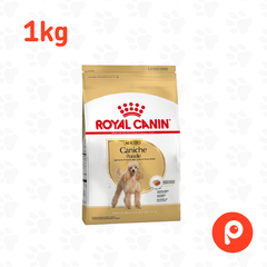 Royal Canin Caniche Adulto en internet