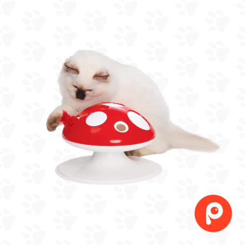 Catit Sense Hongo Electronico - Juguete Interactivo con Pluma