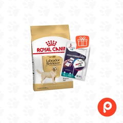 Royal Canin Labrador Retriever Adulto 12kg + Chapita geolocalizadora Bravecto de Regalo