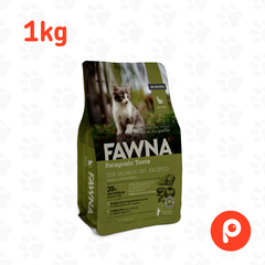 Fawna Gatitos en internet
