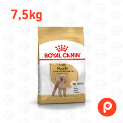 Royal Canin Caniche Adulto - tienda online
