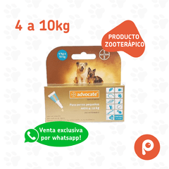 Advocate Perro 4 a 10kg