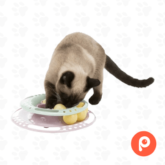 Círculo para gatos "Junior", ø 24. Con 4 pelotas adicionales (Trixie) - comprar online