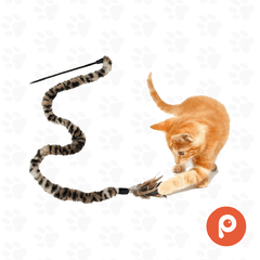 Cañita soga Leopardo (Can Cat) - comprar online